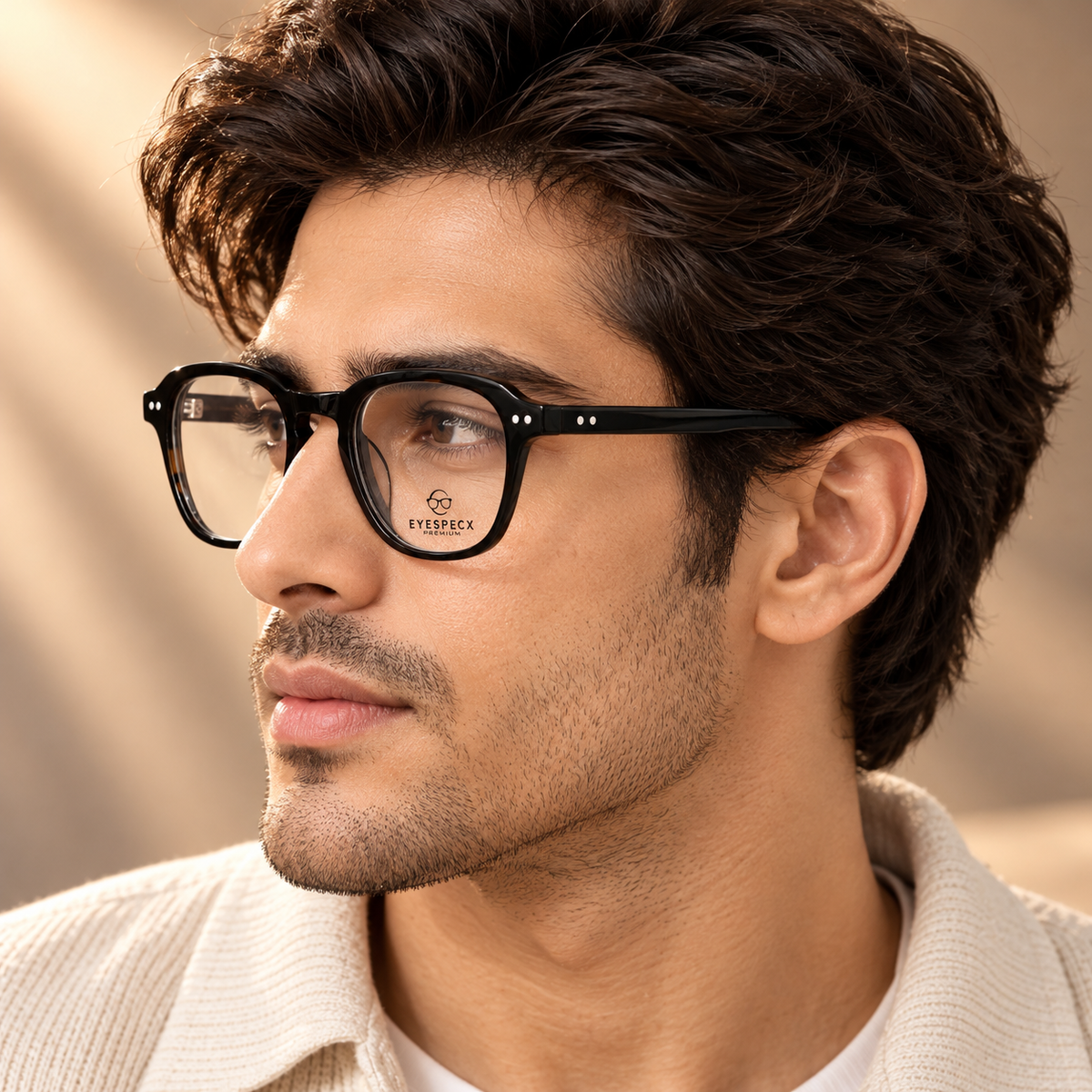 CHA 10366 C5 tortoise with blue